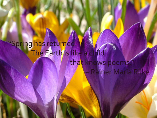 rainer-maria-rilke-spring-quote-card-700px